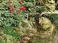 adda (121)